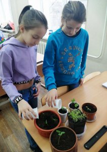 Ученики 4 класса посадили семена овощей и цветов