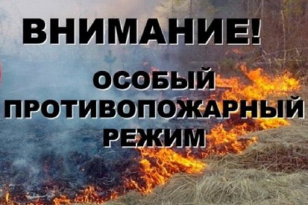На всей территории Ростовской области установлен особый противопожарный режим