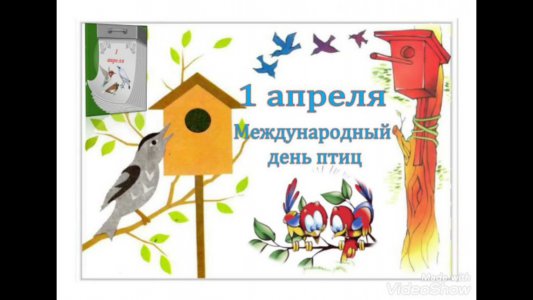 Информационный час «Пернатые наши друзья - птица года»