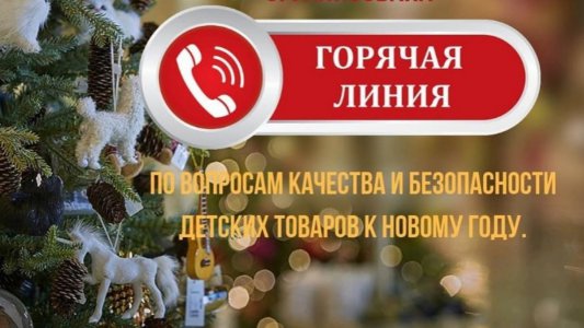 Тематические консультации граждан по вопросам качества и безопасности детских товаров, выбора новогодних подарков